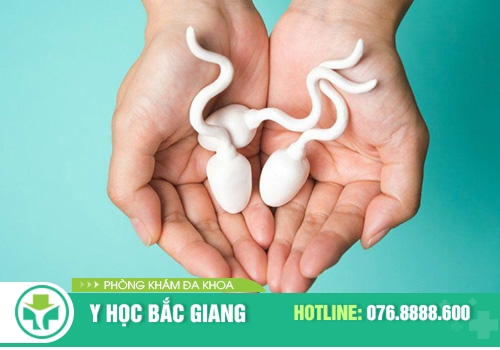 Nguyên nhân khiến tinh trùng vón cục như thạch và cách điều trị hiệu quả